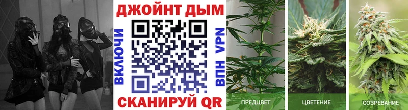 Где найти наркотики Углич СОЛЬ  Меф  ГАШ  Амфетамин  Конопля 