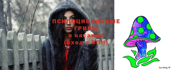 а пвп мука Армянск
