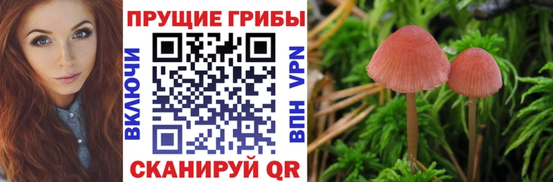 Псилоцибиновые грибы мицелий  Углич 